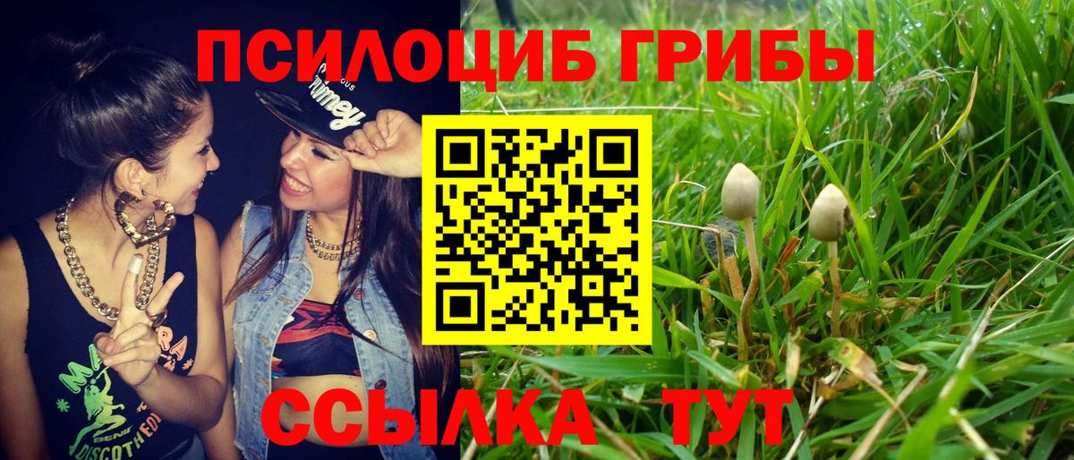 Псилоцибиновые грибы мицелий Бийск